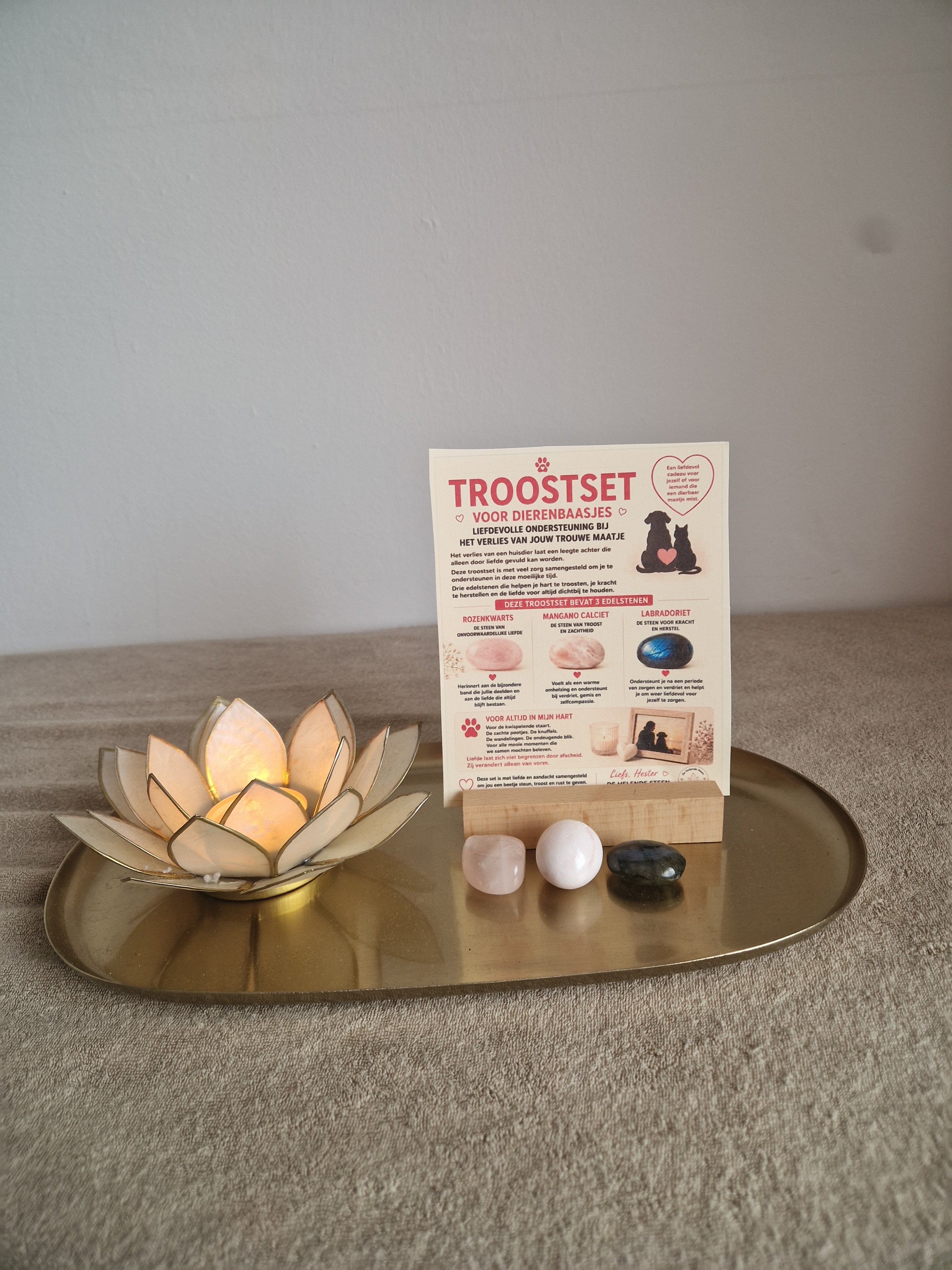 🐾 Troostset – Voor altijd in mijn hart