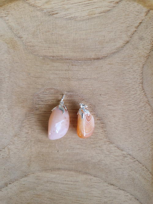 Abrikoosagaat Hangertje