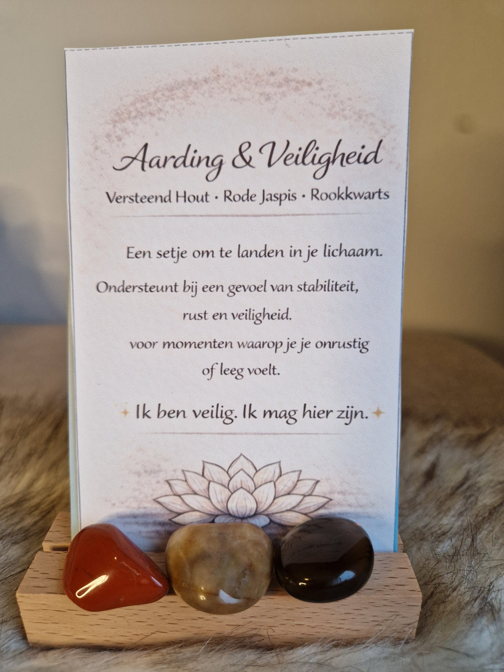 Set 4 – Aarding & Veiligheid