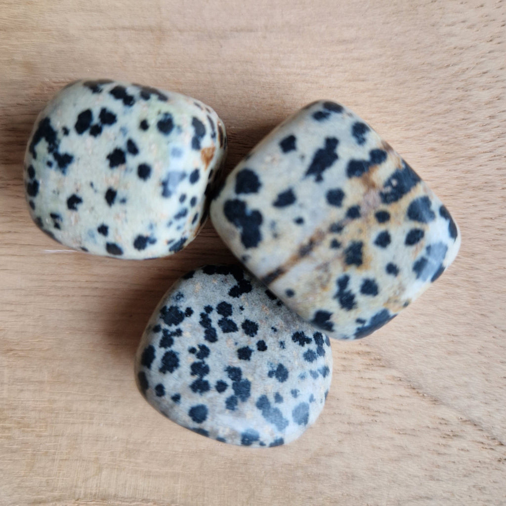 Dalmatier Jaspis Trommelsteen