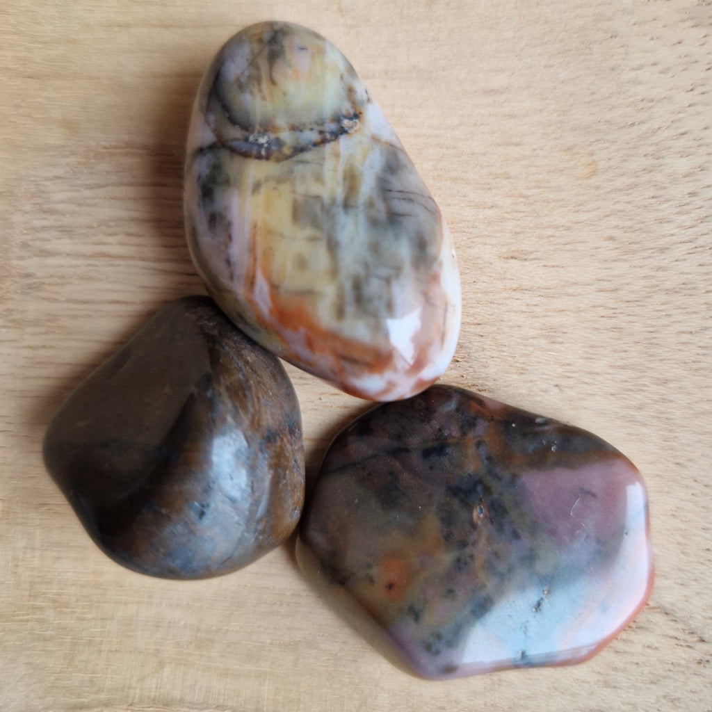 Versteend Hout Trommelsteen