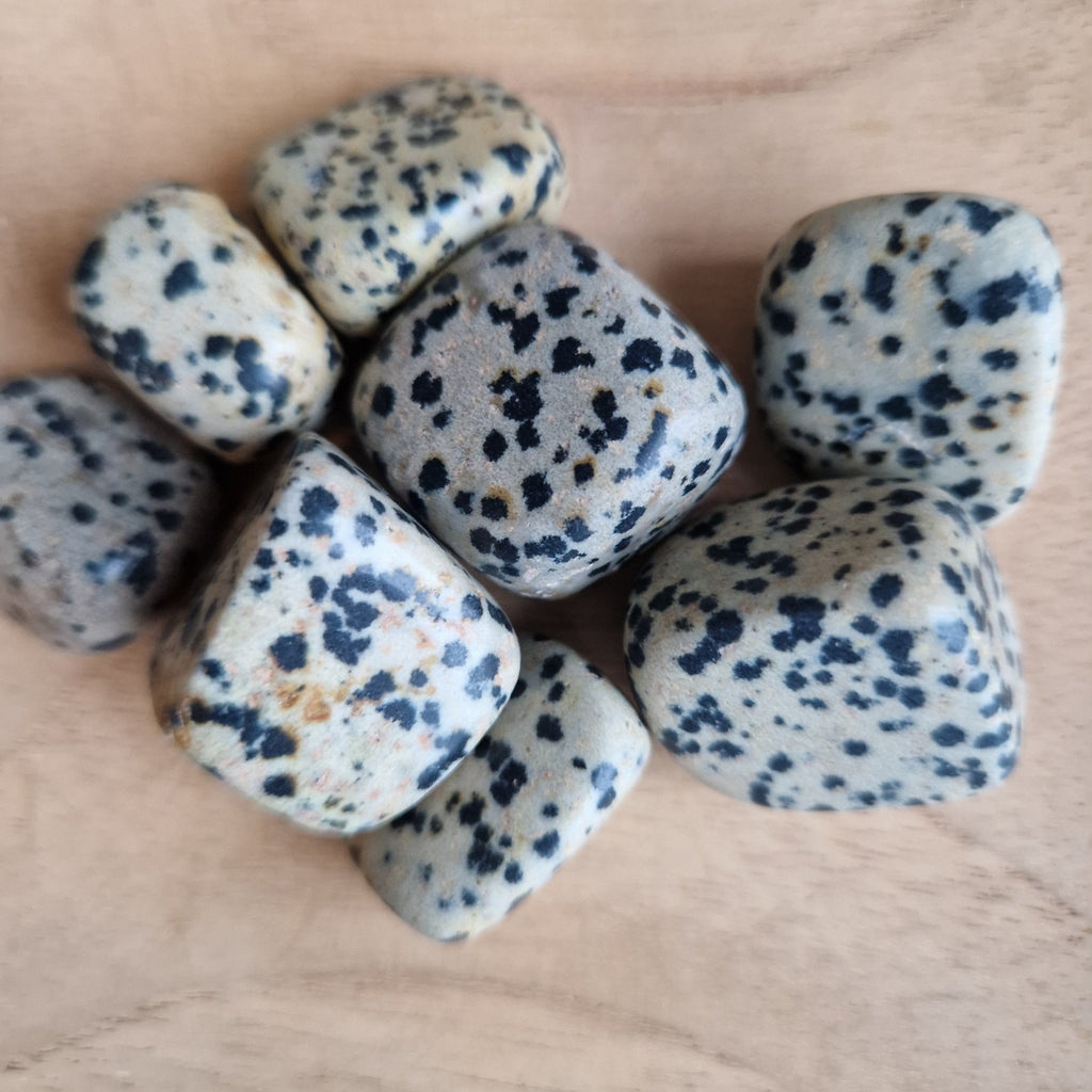 Dalmatier Jaspis Trommelsteen